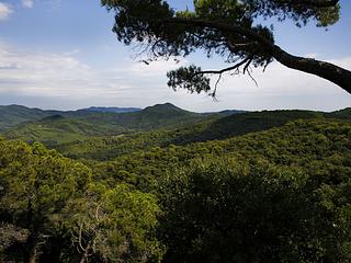 Très beau complexe proche de Barcelone