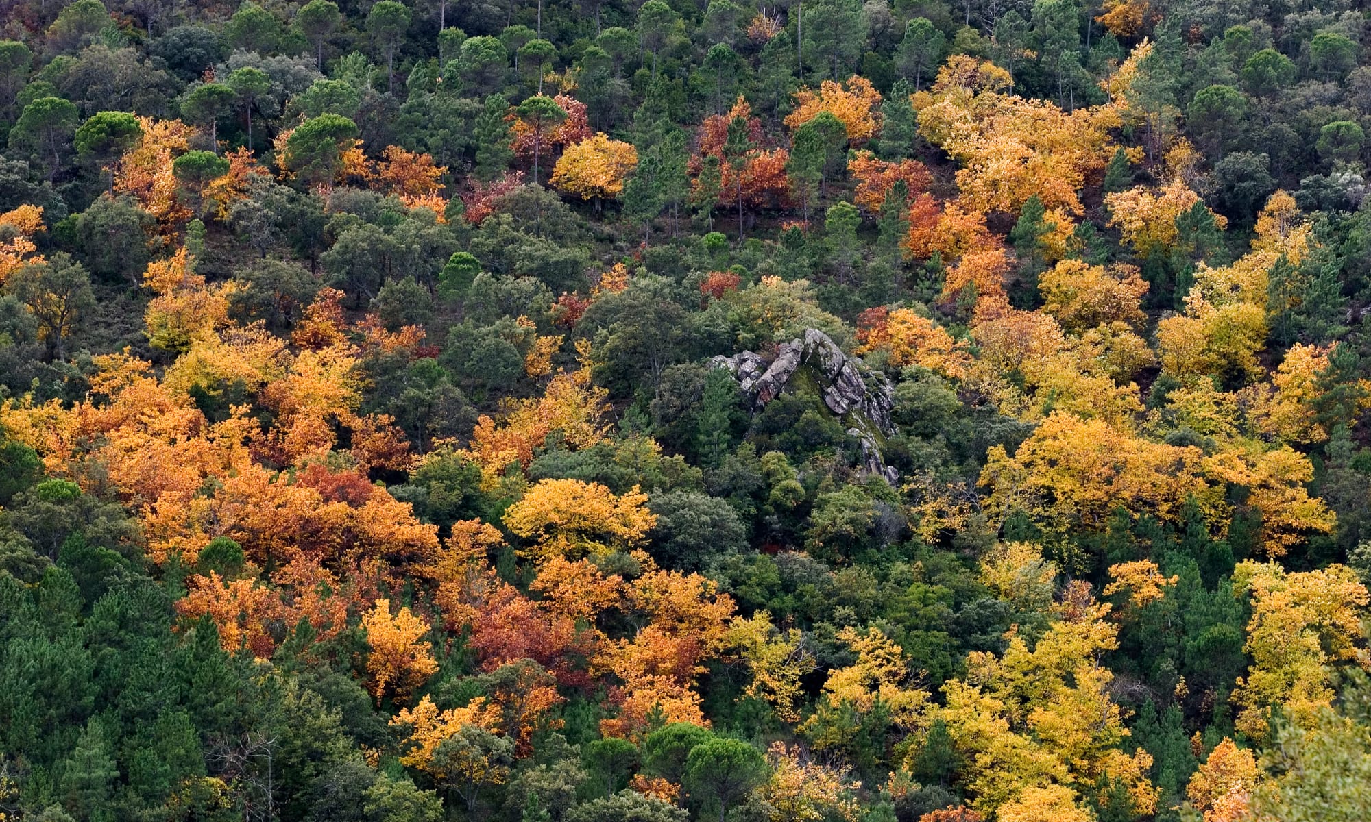 Camping en pleine nature en Andalousie