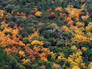 Camping en pleine nature en Andalousie
