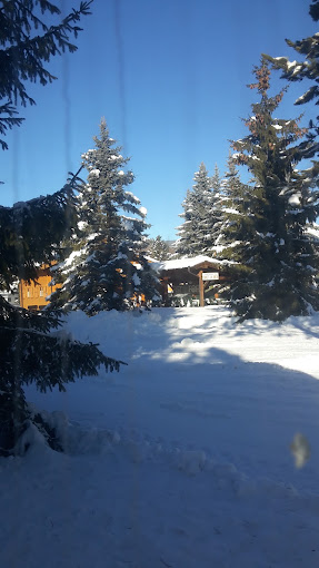 Dolomiti, Camping Village in location da sogno