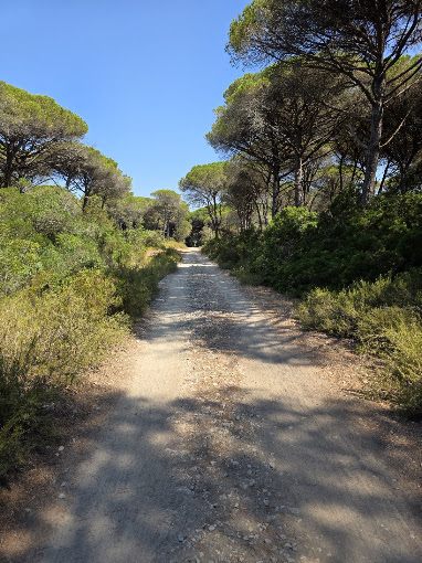 Toscana, Maremma, sulla spiaggia!