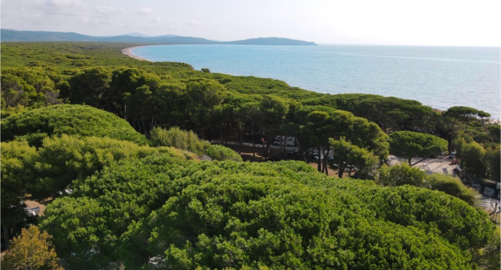 Toscana, Maremma, sulla spiaggia!