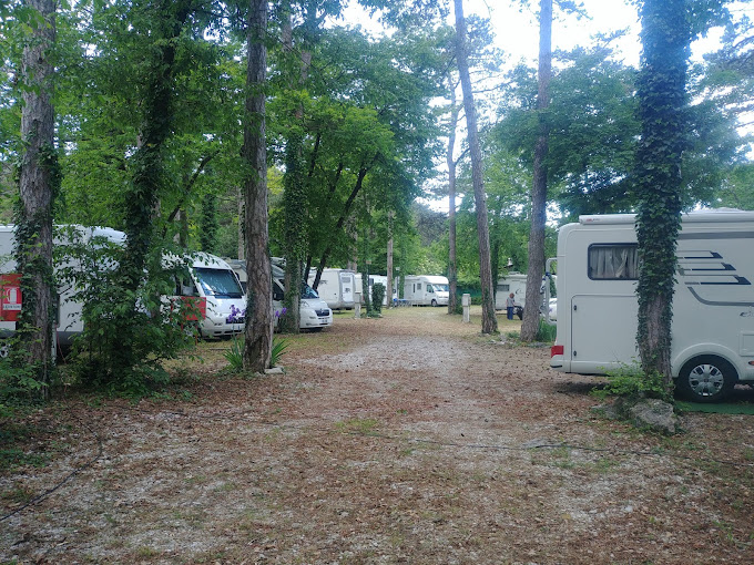 Nei boschi, vicino Trieste, a pochi km dal mare